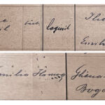 004_GolopenczaNastere